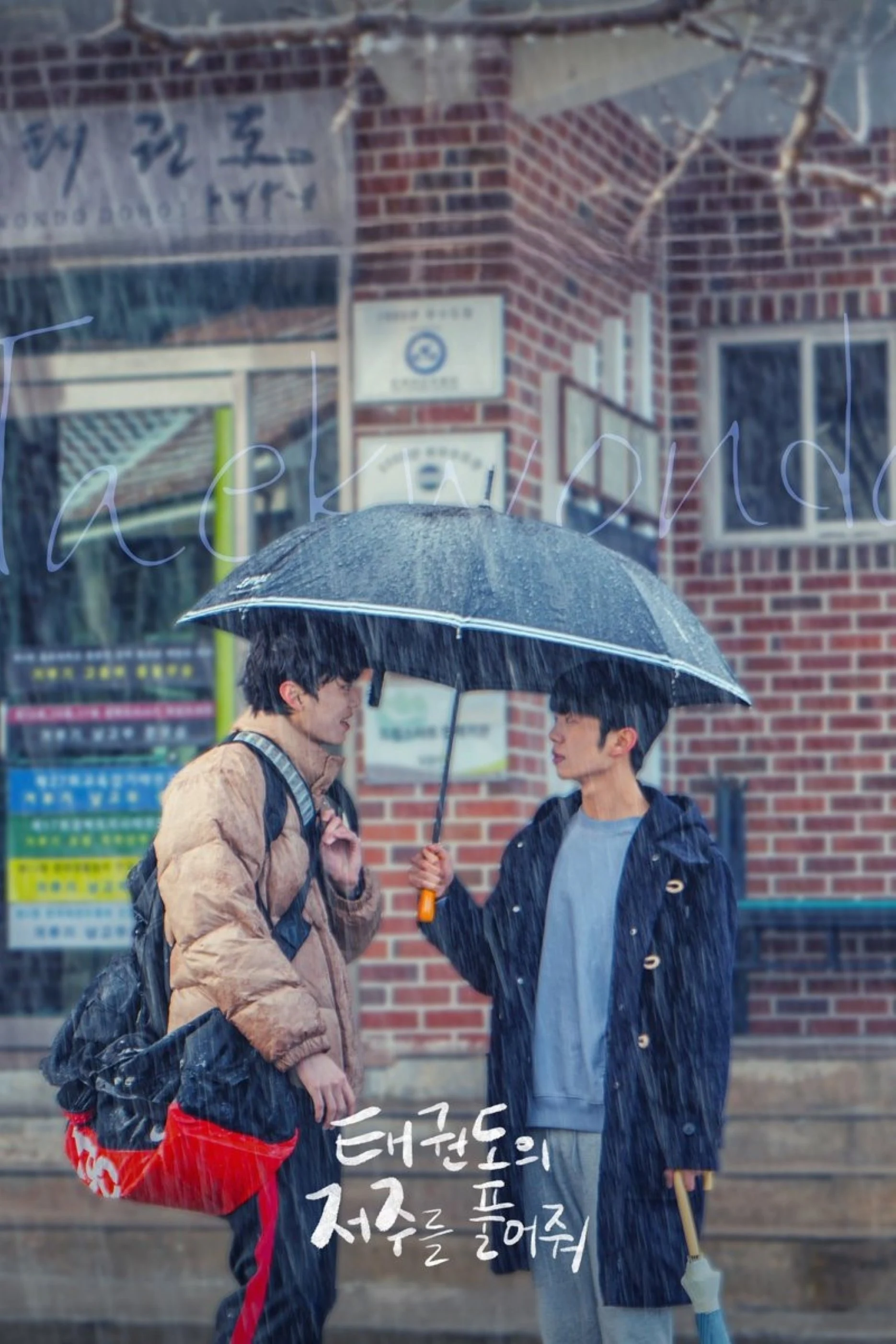 Phim Tháo Gỡ Lời Nguyền Taekwondo