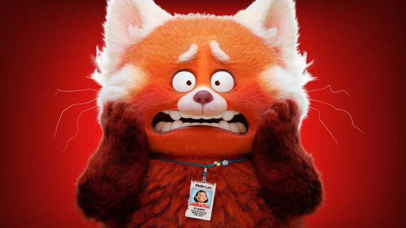 Gấu Đỏ Biến Hình