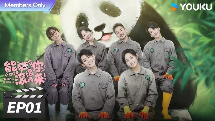 Gấu Trúc Và Bạn, Lăn Đến Đây!