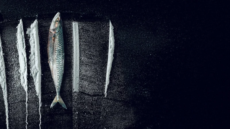 Sóng Triều Đổi Vận: Câu Chuyện Siêu Thực Về Rabo De